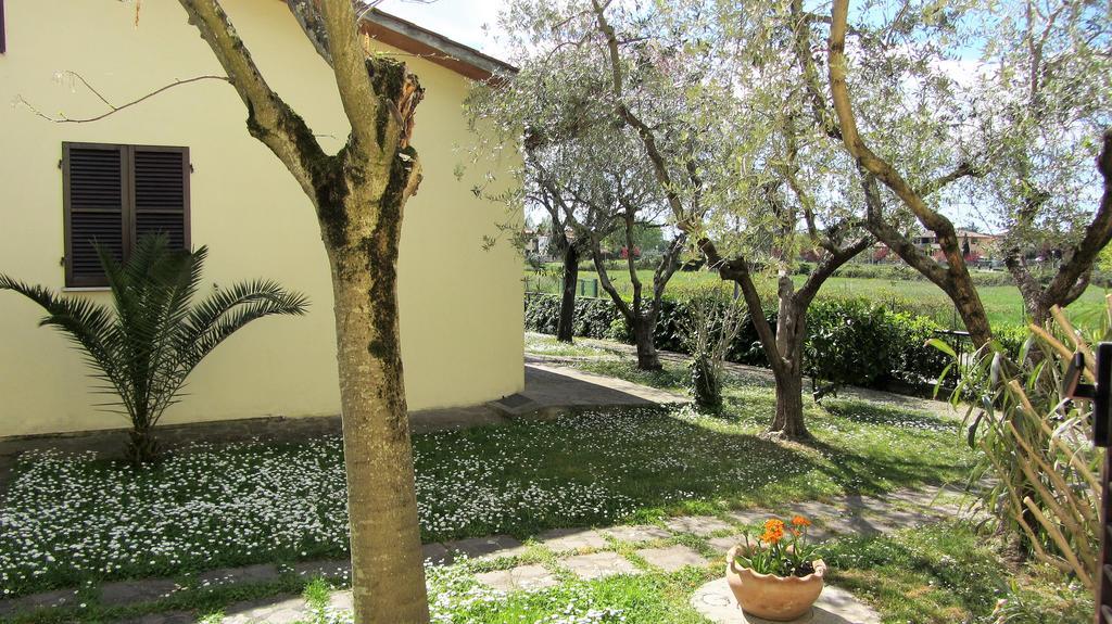 Residence Ranieri Кастильоне дел Лаго Екстериор снимка